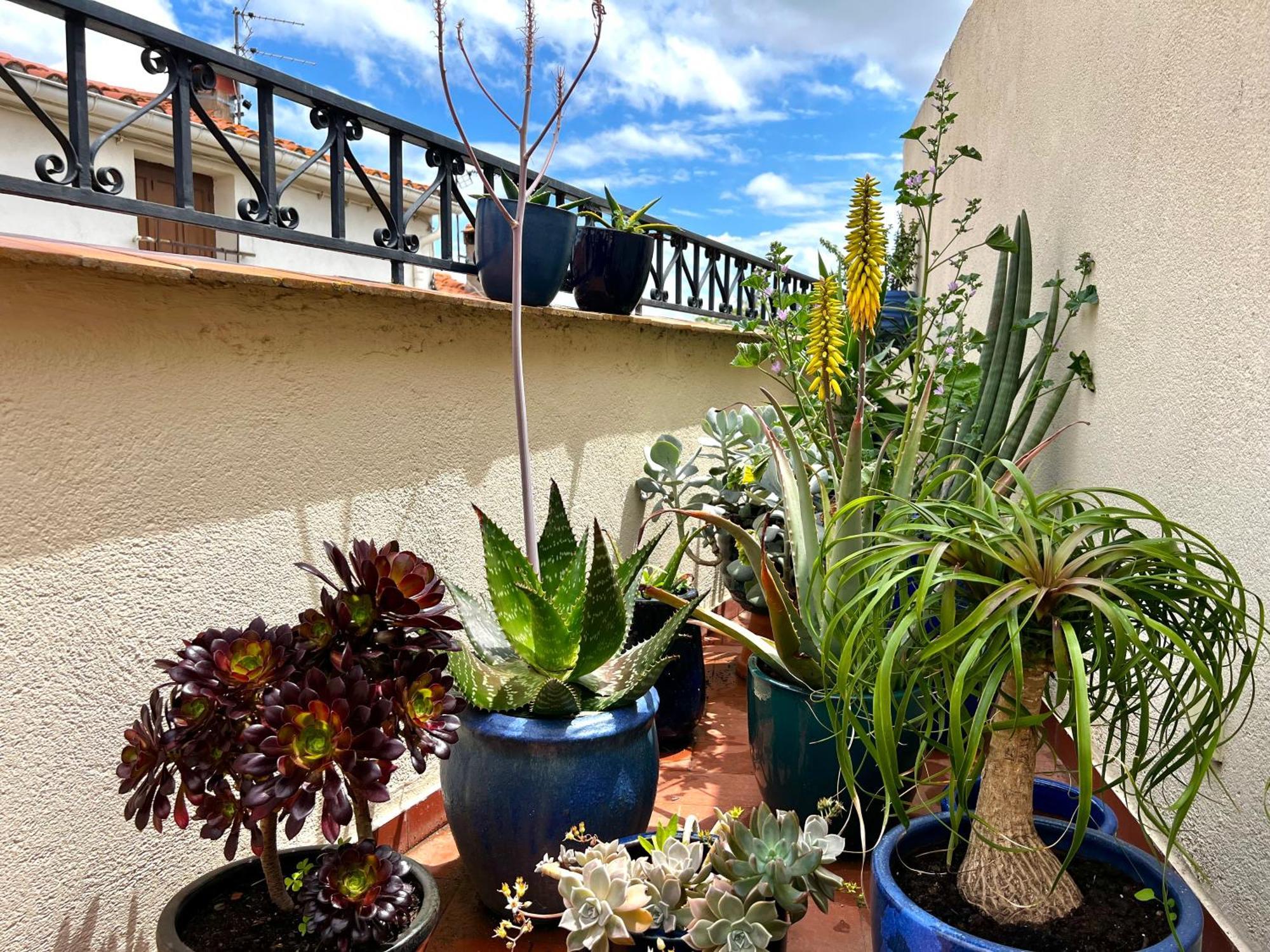 Maison Familiale Bages  Luaran gambar